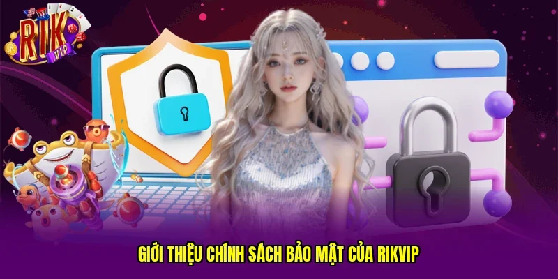 Giới thiệu chính sách bảo mật của RIKVIP