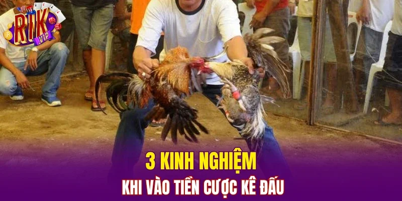 3 kinh nghiệm khi vào tiền cược kê đấu
