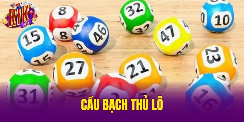 Cầu Bạch Thủ Lô