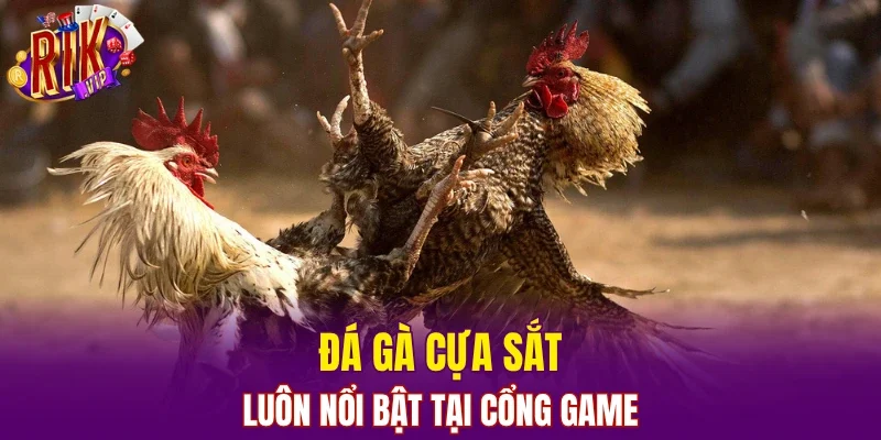 Đá gà cựa sắt luôn nổi bật tại cổng game