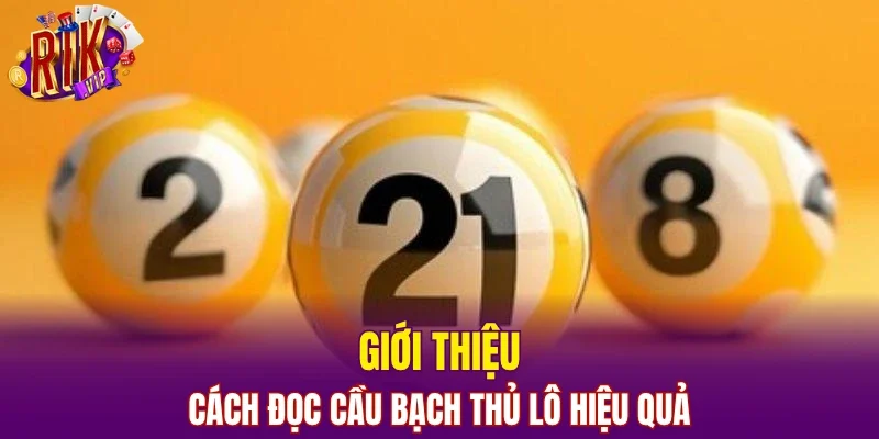 Giới thiệu cách đọc cầu bạch thủ lô hiệu quả