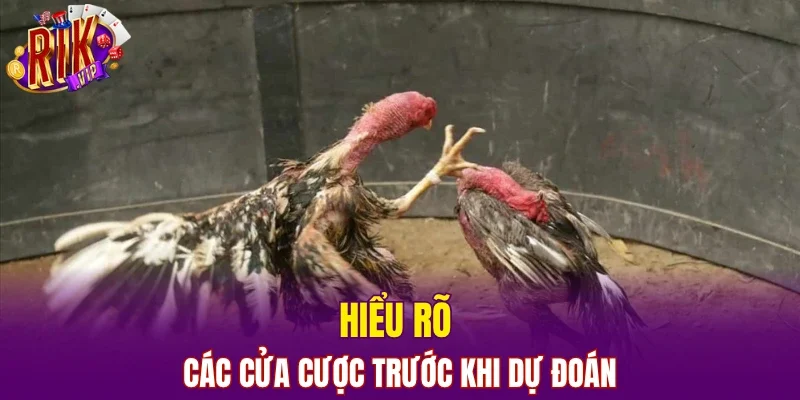 Hiểu rõ các cửa cược trước khi dự đoán